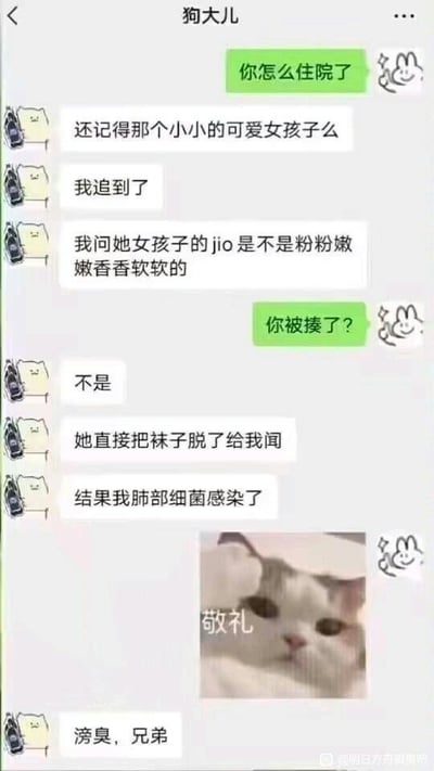 这是一段微信风格的搞笑虚构聊天记录截图，对话发生在备注为“狗大儿”的用户和其好友之间。好友询问“狗大儿”住院的原因，“狗大儿”称自己追到了之前提到的可爱小女生，因好奇询问女生的脚是否粉粉嫩嫩香香软软，女生直接脱下袜子给他闻，结果因为袜子过于刺鼻难闻，导致他肺部细菌感染住院，最后还补了一句“滂臭，兄弟”，对话中还插入了一张猫咪敬礼的表情包，用夸张又离谱的情节制造强烈的反差搞笑效果，没有双关、谐音梗等内容，纯粹以荒诞的经历博人一笑。