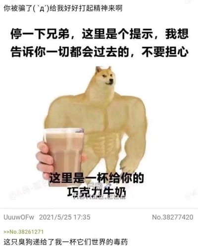 这是一张二次创作的搞笑梗图，上方文字先是用“你被骗了(｀д´)给我好好打起精神来啊”制造紧张感，接着转为暖心提示“停一下兄弟，这里是个提示，我想告诉你一切都会过去的，不要担心”，中间是通过P图合成的拥有强壮肌肉身材的经典Doge（柴犬）表情包形象，它举着一杯巧克力牛奶，配文“这里是一杯给你的巧克力牛奶”，底部论坛评论区则玩起反转梗“这只臭狗递给了我一杯它们世界的毒药”，用前后反差的内容带来暖心又搞笑的效果，既传递安慰情绪又充满趣味。