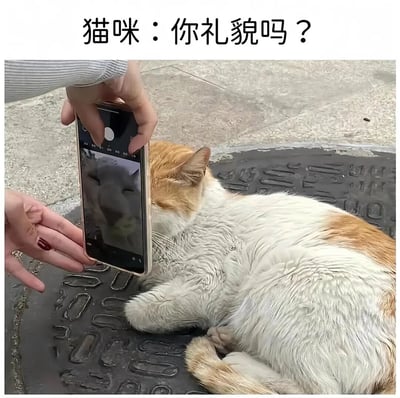 图片中一只橘白相间的猫咪正蜷缩着身体躺在带有花纹的井盖上面休息。一只涂着红色指甲油的手拿着智能手机，近距离对着猫咪的脸部进行拍摄，手机屏幕上可以看到猫咪的倒影。图片上方配有文字“猫咪：你礼貌吗？”，通过拟人化的方式赋予猫咪人类的情绪，仿佛猫咪因被如此近距离拍摄而感到不满和无奈，整体营造出一种幽默搞笑的氛围。