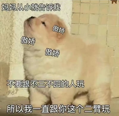 图片中是一只浅棕色的毛茸茸小狗，正抬头向上仰望，表情略带傲娇。图片上方配有文字“妈妈从小就告诉我”，小狗周围标注了三个“傲娇”字样，底部文字为“不要跟不三不四的人玩 所以我一直跟你这个二臂玩”。整体通过拟人化的文字和小狗的表情，营造出一种幽默戏谑的效果，用“二臂”（网络流行语，调侃对方有点傻但关系亲密）作为笑点，展现了朋友间的轻松调侃。