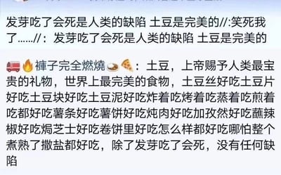 这是一张社交媒体评论截图，内容是两位网友对土豆的趣味讨论。第一位网友用夸张的语气调侃“发芽吃了会死是人类的缺陷 土豆是完美的”，并重复该语句表达对土豆的喜爱；第二位用户“褲子完全燃燒”则长篇列举了土豆的多种美味做法，包括土豆丝、土豆片、土豆泥、薯条等，涵盖炸、烤、蒸、煎等多种烹饪方式，还提及搭配不同调料的美味，最后总结土豆是最完美的食物，唯一的“缺点”是发芽后食用会中毒，整体用幽默反向的语气，放大了土豆的优点，用调侃的方式提及它的小不足，充满趣味，体现了网友对土豆的喜爱之情。