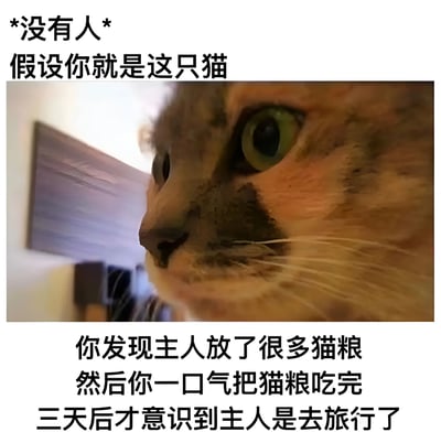 图片上方有文字“*没有人* 假设你就是这只猫”，中间是一张猫咪的近距离特写照片，猫咪有着绿色的眼睛，表情专注地凝视着前方，背景中隐约可见室内环境。照片下方配有文字：“你发现主人放了很多猫粮 然后你一口气把猫粮吃完 三天后才意识到主人是去旅行了”。整体通过拟人化的方式，幽默地展现了猫咪先吃光所有猫粮，三天后才反应过来主人是外出旅行的呆萌场景。