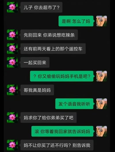 这是一段充满趣味的微信聊天记录截图：使用荷花头像的账号（实际是弟弟冒充妈妈）询问哥哥是否在超市，要求哥哥给弟弟带辣条和心仪的遥控车；哥哥立刻识破是弟弟偷玩妈妈手机，要求对方发语音验证，弟弟情急之下说出「妈求你了给你弟弟买了吧」，彻底暴露身份；哥哥放话要告诉妈妈，弟弟马上改口「妈不让你买了还不行吗？别告诉我」，全程还原了家庭里弟弟耍小聪明被戳穿后秒怂的搞笑日常，真实又接地气。