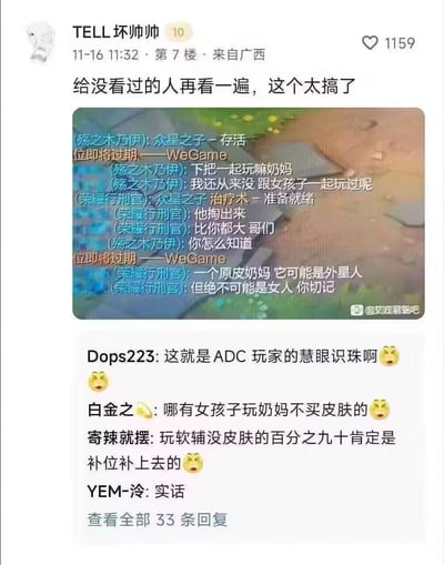 这是一张社交媒体截图，展示了一个游戏聊天对话的搞笑片段。截图中，玩家"殇之木乃伊"想邀请一位玩"奶妈"(众星之子)的玩家一起游戏，并表示自己从没跟女孩子一起玩过。另一位玩家"荣耀行刑官"则调侃道："他掏出来比你都大，哥们"，并断言"一个原皮奶妈绝不可能是女人"。下方还有其他用户的评论，调侃ADC玩家的"慧眼识珠"，以及"哪有女孩子玩奶妈不买皮肤"的游戏玩家刻板印象。