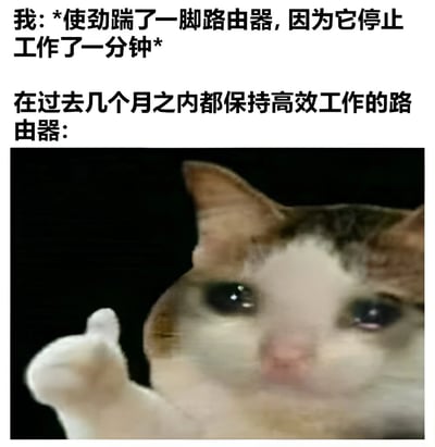 图片上方文字描述“我”因路由器停止工作一分钟而使劲踹它，下方文字引出“过去几个月保持高效工作的路由器”。下半部分是一只表情委屈、眼睛含泪的猫，抬起一只爪子，拟人化展现路由器长期高效工作却因短暂故障被惩罚的幽默场景。