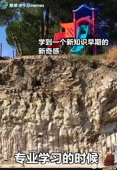 这张搞笑梗图采用上下对比的构图方式，上方是建在陡峭悬崖顶端的彩色儿童滑梯，搭配文字“学到一个新知识早期的新奇感”，用来比喻人们刚接触全新知识时，充满好奇与新鲜感的心态，就像看到有趣的滑梯时想要尝试的心情；下方是几乎垂直、毫无落脚之处的粗糙岩石悬崖，配文“专业学习的时候”，生动形象地表现出当深入进行专业学习时，会发现知识的难度如同悬崖般陡峭，充满了艰难、无力甚至绝望的感受，精准戳中学习者在不同学习阶段的心态反差，用夸张的现实场景引发广大学习者的共鸣。