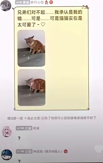 这是一张社交媒体聊天截图，展示了用户"新行心信"发布的内容。主内容区域有一段道歉文字："兄弟们对不起……我承认是我的错……可是……可是猫猫实在是太可爱了 - ♡"，下方配有两张橘猫流口水的照片。截图下方还显示了其他用户如"喵Q搓一搓 十连必出货"、"花道"和"神烦狗"的互动或评论。整体采用黄色背景配棕色边框的设计，呈现出轻松幽默的氛围。