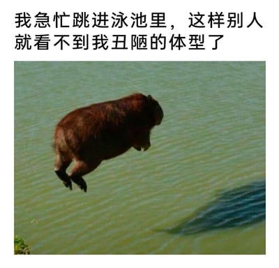 这是一张拟人化的趣味梗图，画面主体是一只正笨拙地跳入水中的水豚，它的姿态憨厚可爱；上方搭配拟人化文案“我急忙跳进泳池里，这样别人就看不到我丑陋的体型了”，将水豚的跳水行为赋予了人类的情绪——因对自身身材不自信而想要逃避他人的目光，用幽默的方式映射出部分人群的身材焦虑心理，借助水豚憨厚可爱的形象让这种略显敏感的情绪表达变得轻松有趣，容易引发共鸣。