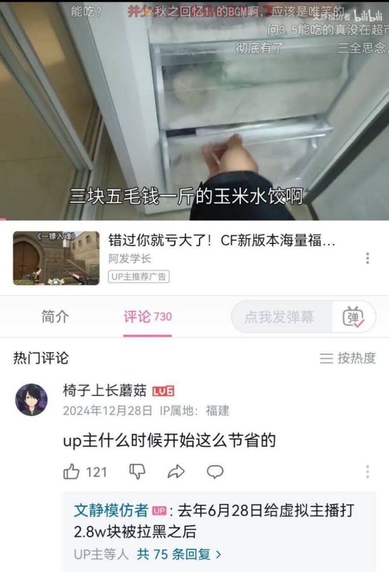 bilibili UP主