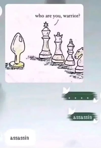 这张图是带有低俗趣味的网络搞笑梗图，上半部分为简笔画绘制的国际象棋场景，依次排列着国王、王后、象、马几枚标准白棋，国王向左侧一枚造型酷似肛塞的异形棋子提问身份，下方给出的答案是刺客（assassin）。该梗玩了拼写与形象的双关：英文ass是屁股的俚语称呼，异形棋子原型是用于臀部的肛塞，同时assassin的拼写拆分刚好呼应和ass相关的暗示，以此制造笑点。