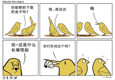 这是一则六格连环漫画，讲述了小鸟取虫的搞笑反转故事：第一格，一只好奇的小鸟询问同伴“你能够到下面的虫子吗？”，被问的小鸟将半个身子探进地面的洞里；第二格，探洞的小鸟回应“嗯...我试试”，随后整个身体钻进洞里，只露出屁股在外；第三格，一只新来的友好小鸟对着洞里的屁股打招呼“嗨”；第四格，原本探洞的小鸟从洞里露出头，表情不爽地吐槽“哇~这是什么长嘴怪胎”；第五格，一只长嘴的大鸟叼着虫子出现，平淡地问“你们在找这个吗？”；第六格，两只小鸟瞪大双眼，一脸震惊地看着长嘴大鸟。漫画利用视觉错位制造反转，让读者一开始误以为探洞的是普通小鸟，最后揭晓其只是长嘴大鸟的身体部分，以此产生喜剧效果。