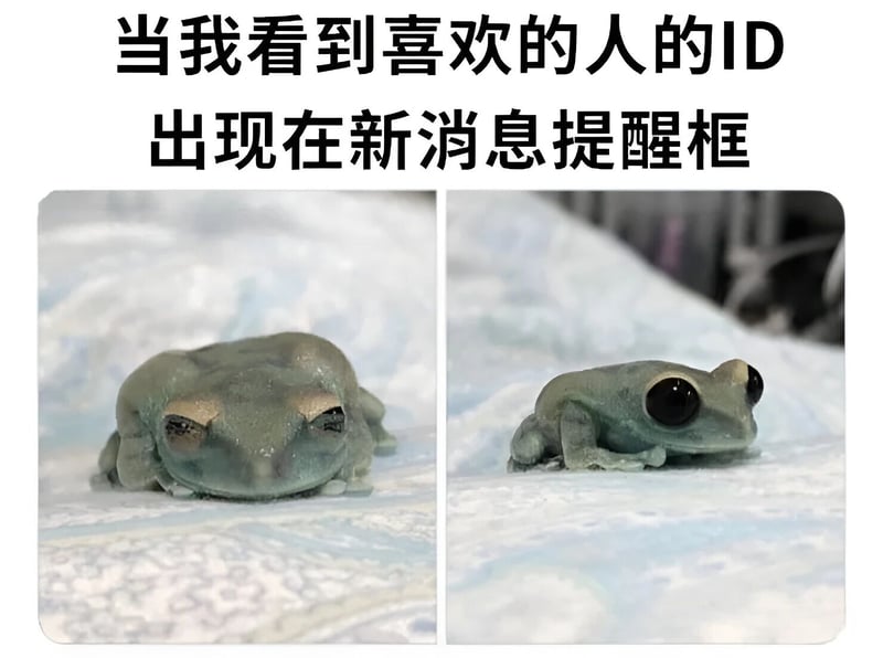 青蛙