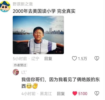 社交媒体用户“野原新之澈”（恶搞蜡笔小新角色“野原新之助”的名字）发布一条帖子，声称“2000年去美国读小学 完全真实”，并配上一张男孩在水边城市天际线前的照片。下方网友“LT.”评论“我信你哥们，因为我看见了俩绝版的东西”并附带眨眼和OK手势表情，通过反讽方式暗示照片中存在与“2000年美国”说法不符的细节，形成幽默调侃效果。帖子显示有1.5万点赞，评论发布于4小时前。