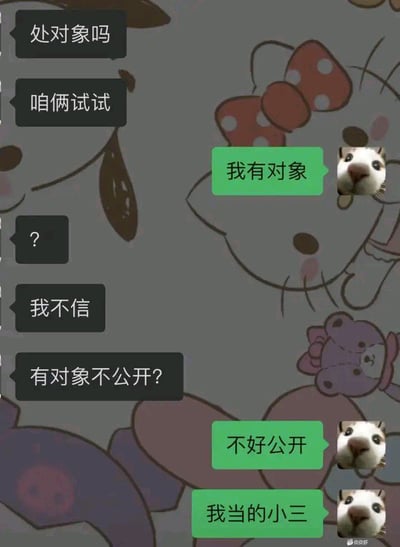 这是一张聊天对话形式的搞笑表情包，背景是卡通风格的可爱图案，包含类似Hello Kitty的角色和其他小动物形象。图中展示了一段幽默的对话：追求者依次发出"处对象吗"、"咱俩试试"的邀请，被追求者用绿色气泡回应"我有对象"，在对方表示怀疑并追问"有对象不公开?"后，给出了"不好公开"、"我当的小三"的反转回答，每个绿色气泡旁都配有一个表情惊讶的小动物头像，形成强烈的喜剧效果。