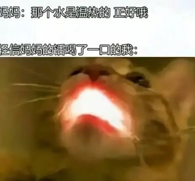 这是一张搞笑共鸣类梗图，采用上文下图的排版，上方配有两行文字，第一行是妈妈的台词“那个水是温热的 正好哦”，第二行标注“轻信妈妈的话喝了一口的我：”，下方配图是一张模糊的、张大嘴巴作尖叫状的橘猫表情包，用夸张的神态生动表现出实际喝到的水温度远超妈妈描述的“温热”、被烫到的反应，精准还原了很多人都有过的类似生活经历，笑点十足很容易引发大众共鸣。