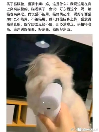 这是一组图文结合的趣味养宠内容，上方是铲屎官的文字叙述，讲述自己购入筋膜枪后，家中的白色猫咪好奇询问用途，得知是放松的“好东西”后，哭闹着要求使用，铲屎官无奈满足猫咪，猫咪被筋膜枪震得身体嗡嗡直响、四肢险些站不稳，却依旧心满意足地仰头连声夸赞的趣事；下方的实拍图中，一只手握着白色筋膜枪对准仰头的浅色猫咪，猫咪头高高抬起，表情放松享受，完美呼应了文字里的内容，整体画面充满温馨搞笑的氛围，展现了宠物与主人之间的有趣互动。