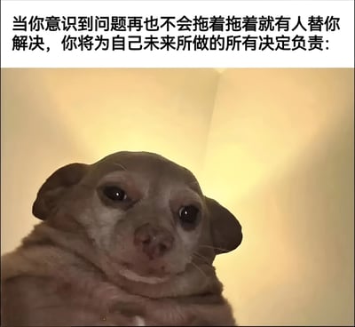 图片上方为黑色文字：'当你意识到问题再也不会拖着拖着就有人替你解决，你将为自己未来所做的所有决定负责：'，下方是一只小狗在暖黄色灯光下抬头凝视的照片。小狗表情凝重且略带迷茫，整体画面通过文字与动物表情的结合，传达出成长中必须独立承担责任的沉重感悟。