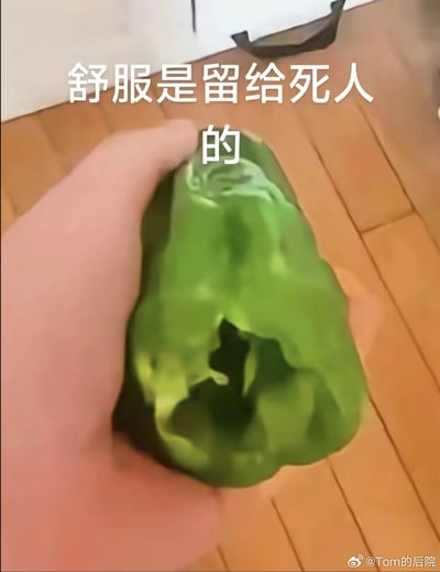 这是一张中文流行梗图，画面里一只真人的手从左侧伸入，紧紧攥住一颗绿色青椒，青椒被捏得变形，画面上方叠加了醒目的白色文字标语「舒服是留给死人的」，右下角带有微博用户@Tom的后院的水印，整体用捏青椒的朴素画面搭配狠标语，形成反差感，用来表达拒绝安逸躺平、自我鞭策要吃苦努力的态度。