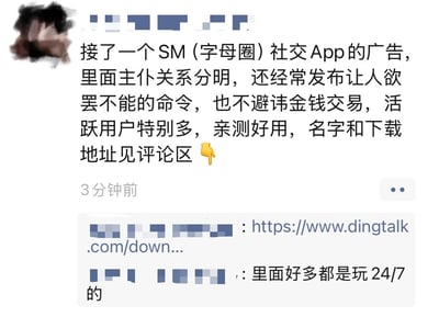 这是一张社交媒体截图，内容是一个关于SM（字母圈）社交App的广告帖子。帖子称该App主仆关系分明，经常发布让人欲罢不能的命令，不避讳金钱交易，活跃用户多，并引导用户到评论区查看下载地址。评论区显示了一个指向钉钉官网的链接和"里面好多都是玩24/7的"的评论。

这张图实际上是对钉钉（DingTalk）职场沟通软件的幽默调侃，用SM文化的术语来比喻钉钉的工作指令传达方式和全天候工作模式，属于一种网络迷因创作。