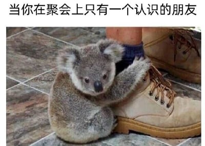 图片上方配有文字'当你在聚会上只有一个认识的朋友'，下方是一只考拉幼崽紧紧抱住人类穿着棕色靴子的小腿的画面。考拉眼神无辜，四肢环绕着靴子，生动形象地比喻了在陌生聚会中只能依赖唯一认识的朋友时的依赖状态，引发社交场景中的共鸣。