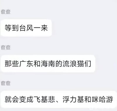这是一段网友“查查”的聊天记录内容，分三句抛出一个趣味脑洞：调侃台风来袭时，广东和海南的流浪猫会因为台风的风力，变成“飞基悲、浮力基和咪哈游”。

谐音梗说明：“飞基悲”谐音“飞起来的悲惨猫咪”，“浮力基”谐音“浮在水面的猫咪”，“咪哈游”既谐音“被风吹着游动的猫咪”，同时玩了游戏公司“米哈游”的名称谐音，用谐音制造搞笑效果。