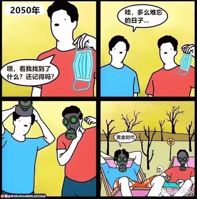 这是一幅四格讽刺连环漫画，设定在2050年：
1. 红衣服男子翻出一只普通医用口罩，向蓝衣服男子询问是否还记得；
2. 两人共同感慨那是一段难忘的日子；
3. 画面一转，两人戴上了防毒面具；
4. 最终场景是荒芜死寂、带有核污染标志的户外，两人戴着防毒面具躺在躺椅上，将曾经戴普通口罩的时期称作「黄金时代」。

漫画用夸张的对比手法讽刺未来环境的极端恶化，暗示曾经疫情期间戴普通口罩的生活，在未来反而成了值得怀念的美好时光，充满荒诞与无奈的讽刺感。