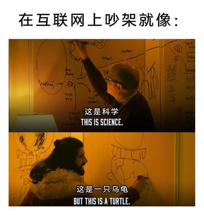 这是一张上下对比的梗图，上方画面中一位秃顶男性正在白板上书写包含'Big Bang'、'Atoms'、'Time T=0'等科学概念的复杂图示，配文'这是科学 THIS IS SCIENCE.'；下方画面中一位长发人士在白板上画着简单的乌龟简笔画，配文'这是一只乌龟 BUT THIS IS A TURTLE.'。图片通过这种对比幽默地讽刺了在互联网上吵架时，双方往往自说自话、不在同一频道的现象，就像一个在讲科学一个在说乌龟。