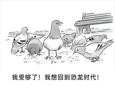这是一幅黑白手绘风格的单格卡通漫画，画面场景设定在户外地面，背景有一个小型棚屋状建筑。一群鸽子聚集在地面上，多数鸽子正低头啄食地面的食物，处于画面中心位置的鸽子则抬起头，嘴巴张开，肢体姿态显得激动愤怒，仿佛在大声宣泄情绪。画面下方配有文字“我受够了！我想回到恐龙时代！”，该漫画的笑点来源于“鸟类是恐龙后代”的科学结论，通过赋予鸽子拟人化的不满情绪，幻想回到祖先所处的恐龙时代，以这种荒诞的吐槽制造出反差感与搞笑效果，调侃当下鸽子的生存处境，引发观者的趣味联想。