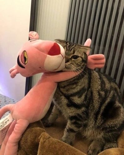 一只虎斑猫正被一个粉红豹玩偶从前方“环抱”住脖子，猫咪表情淡定，眼神平静地看向镜头，灰黑色条纹毛发与玩偶的粉色身体形成鲜明色彩对比。背景可见竖条纹深色窗帘和浅色墙壁，整体场景展现出宠物与玩具间的趣味互动，氛围温馨可爱。