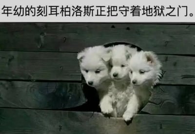 图片上方有文字'年幼的刻耳柏洛斯正把守着地狱之门。'，下方是三只毛茸茸的白色小狗从深色木质结构的圆形洞口探出头来，眼神呆萌。通过将希腊神话中守护地狱之门的三头犬刻耳柏洛斯与可爱的幼犬形象结合，形成强烈的反差萌，营造出幽默搞笑的效果。