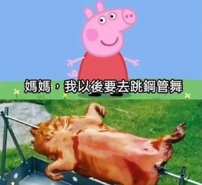 这是一张上下拼接的恶搞梗图，上半部分是英国儿童动画《小猪佩奇》中的角色小猪佩奇，她面带微笑张开手臂，配文“妈妈，我以后要去跳钢管舞”；下半部分是一只被串在旋转烤架钢管上的烤乳猪，通过谐音和画面呼应，将“钢管舞”的钢管与烤乳猪的烤架钢管关联，制造出黑色幽默的效果，调侃佩奇作为猪的最终“结局”，是网友对动画角色的二次恶搞创作。