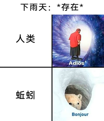 这是一张四格拼接的反差类梗图，顶部标题为“下雨天：*存在*”，将人类与蚯蚓在下雨天的状态进行幽默对比。上半部分对应人类，右侧配图是一位穿着红色上衣、黑色下装的人背对镜头走进时空隧道，配文西班牙语“Adiós”（意为“再见”），生动表现出人类在下雨天可能厌恶出门、想要逃离雨天的心态；下半部分对应蚯蚓，右侧配图是一只动物从洞穴中探出头，配文法语“Bonjour”（意为“你好”），对应下雨天蚯蚓会钻出地面活动的生物习性，通过两种不同语言的道别与问候，强化了两者在同一情境下的相反反应，充满生活趣味与幽默感。