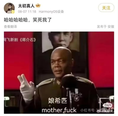 这是一张网友创作的搞笑P图，将黑人演员塞缪尔·L·杰克逊的形象P成中国近代人物蒋介石的样子，身着军装站在麦克风前比出V字手势，配上蒋介石的经典口头禅“娘希匹”和对应的英文粗口翻译“mother fuck”，还标注“网飞新剧《蒋介石》”虚构出不存在的剧集，制造强烈的违和反差感。上方微博用户“太初真人”配文“哈哈哈哈哈，笑死我了”，用西方演员扮演中国历史人物的错位感，结合粗口台词的对应翻译，形成荒诞的搞笑效果，属于玩梗类二次创作内容。