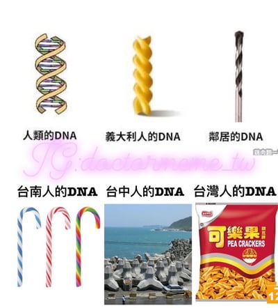 这是一张由6个小图组成的幽默对比图，通过将不同人群与形似DNA双螺旋结构的物品进行趣味关联。第一行从左到右分别是：人类的DNA（标准DNA双螺旋结构）、意大利人的DNA（螺旋形意大利面）、邻居的DNA（钻头）。第二行从左到右分别是：台南人的DNA（三根不同颜色的拐杖糖）、台中人的DNA（海岸防波堤的混凝土块）、台湾人的DNA（一袋可乐果零食）。图片中央有粉色手写体水印"IG: doctorname_tw"。