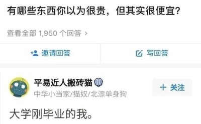 图片为问答平台截图，上方显示问题“有哪些东西你以为很贵，但其实很便宜？”，下方提示“查看全部 1,950 个回答 >”，并设有“邀请回答”和“写回答”按钮。页面中部展示用户“平易近人搬砖猫”的回答，该用户头像为蓝色卡通猫形象，简介标注“中华小当家/猫奴/北漂单身狗”，回答内容仅为“大学刚毕业的我。”，以简洁文字引发对毕业生消费认知的联想。