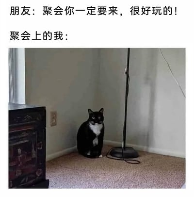 这是一张精准戳中社恐人群心理的梗图，上方文字分为两个部分，第一部分是朋友热情的聚会邀请：“聚会你一定要来，很好玩的！”，第二部分以“聚会上的我”引出下方的图片内容——一只黑白相间的猫咪正缩在房间的墙角位置，它眼神局促不安，身体端正地坐着，仿佛在极力缩小自己的存在感，生动还原了社恐人群在热闹聚会中，内心尴尬、无助，只想找角落躲起来的状态，能够引发有类似社交不适经历人群的强烈共鸣。