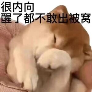 这是一张文字加注类的表情素材图，主体是一只被人手托着的橘白猫咪，猫咪闭着眼睛，蜷缩着身体，神态慵懒怯懦。图片上方配有黑色文字“很内向 醒了都不敢出被窝”，将猫咪蜷缩不愿动的状态拟人化，用来生动幽默地表现内向、社恐人群不想出门、不愿社交的情绪，适合在聊天或社交平台中用来表达自己的这类心情。