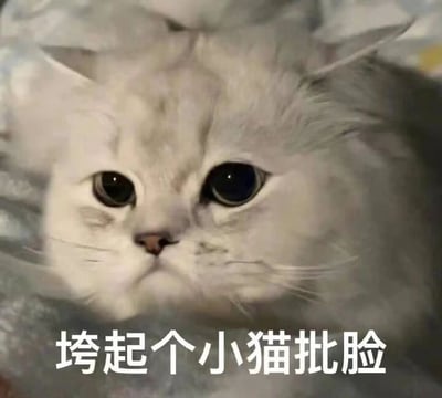 图片为一只白色长毛猫的特写，猫咪有着圆溜溜的大眼睛，眼神略带委屈，正趴在柔软的物体上。图片底部配有白色文字“垮起个小猫批脸”，幽默地形容猫咪这副略带不爽又有点委屈的表情，整体画面可爱又搞笑。