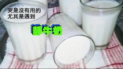 这是一张结合视觉错位与谐音梗的搞笑meme图。画面里摆放着几杯牛奶，其中一只玻璃杯倒扣在洒出的牛奶上，透过玻璃杯观察洒出的牛奶，会产生“杯子里装着静止牛奶”的视觉错觉。图中配文“哭是没有用的 尤其是遇到 静牛奶”，这里运用了谐音梗：“静牛奶”谐音“镜牛奶”，指代透过类似镜子的玻璃杯看到的洒出的牛奶，以此调侃遇到无法挽回、无可奈何的状况时，哭泣毫无用处，用荒诞的搞笑方式传递出无奈又好笑的情绪。