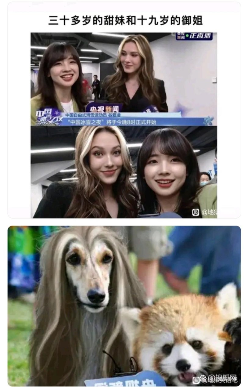 熊猫头