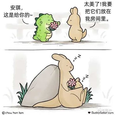 这是一组温馨的漫画分镜，小恐龙将一朵粉色小花送给袋鼠安琪，安琪开心地表示要把花放在自己的房间。下一格可以看到安琪将花和小恐龙一同拥在怀里，小恐龙安然入睡。该图适合表达温情、友情或被珍视的感觉。

这里“我要把它们放在房间里”带有一点含蓄的暗示：房间象征着内心重要的地方，实际上安琪把小恐龙一起抱在怀里，把“最重要的”都珍藏在心间，含蓄又暖心。
