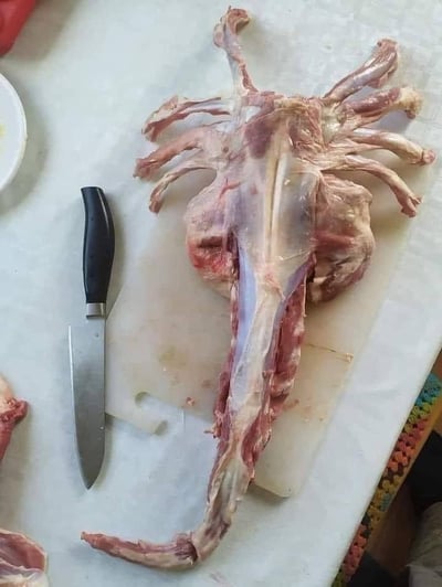 这张图片拍摄于厨房操作台场景，画面主体是一块带有残留肉质的动物骨架，推测为羊的部分骨骼，由于摆放的角度和形态巧合，产生了强烈的视觉错位效果，从上方视角看去，这块骨架的形态酷似一只拥有多只步足的螃蟹。画面左侧放置了一把黑色刀柄的厨房用刀，下方是一块浅色砧板，操作台边缘还能看到部分切下的肉块，整体场景呈现出肉类食材处理的过程，而这个偶然形成的视觉错觉让普通的食材处理场景变得十分有趣。