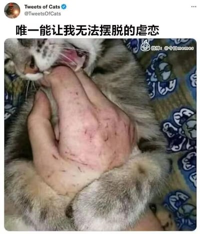 暂无描述