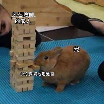 这是一张趣味改编梗图，用正在抽积木塔的棕色兔子代表“我”，旁边的积木塔被标注为“还在熟睡的家人”，下方配文“小心翼翼地泡泡面”。图中兔子专注又小心地抽积木的动作，生动类比了在家人熟睡时，自己想泡泡面却怕发出声响吵醒家人的紧张、蹑手蹑脚的状态，将抽积木这种容易引发动静的行为和泡泡面时的谨慎感结合，精准还原了日常生活中这种小心翼翼的场景，充满了生活趣味。