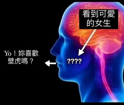 这张图片用幽默的方式展示了当一个人看到可爱女生时的大脑反应与实际表达之间的巨大反差。图片主体是一个蓝色的人类头部侧面剪影，内部有彩色高亮的脑部示意图。右上角的文字框标注了大脑接收到的信息："看到可爱的女生"，并用箭头指向脑部高亮区域。然而，从人物嘴巴处发出的实际对话却是完全不相关的："Yo！妳喜歡壁虎嗎？"（Yo! Do you like geckos?），中间用"?????"表示大脑的混乱和短路状态。这种强烈的反差产生了搞笑效果，讽刺了人们在紧张或尴尬时刻可能说出的不合时宜的话。