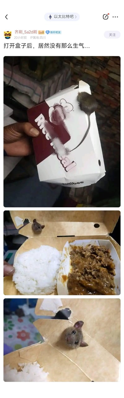 三张拼接图片展示了一个有趣的生活场景：第一张图中一只手拿着一个印有"Rice Real"字样的红色饭盒，盒盖上有一只小老鼠；第二张图展示打开的饭盒，里面有米饭和肉菜，另一只小老鼠从盒盖破洞中探出头来；第三张图特写了从饭盒底部破洞钻出的小老鼠。配文"打开盒子后，居然没有那么生气..."表达了发现老鼠后的意外平静反应，形成了幽默效果。