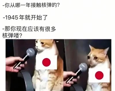 这是一张由两张猫咪图片拼接而成的搞笑梗图。图片上方有三行对话文字：“-你从哪一年接触核弹的？-1945年就开始了-那你现在应该有很多核弹喽？”。下方左侧图片中，一只橘猫胸前贴着日本国旗图案，表情淡定地面对麦克风接受采访；右侧图片中，同一只橘猫表情惊讶地继续接受采访。

图片通过将猫咪拟人化并结合历史事件（1945年美国在日本投放原子弹）制造黑色幽默效果，属于对历史事件的调侃性质创作。