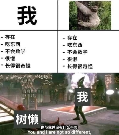 该梗图为2x2网格的多图拼接结构，通过对比形式幽默展现“我”与树懒的相似之处。左上角白色背景区域用黑色大字标注“我”，下方列出五个特点：“- 存在 - 吃东西 - 不会数学 - 很懒 - 长得很奇怪”；右上角为一只挂在树上的树懒实拍图，下方配有完全相同的五个特点列表。底部为横向拼接的场景图，左侧标注“树懒”，右侧为一个手持写有“我”字牌子的人物，背景是城市夜景，中间叠加文字“你与我并没有什么不同 You and I are not so different,”，形成自嘲式的趣味对比。