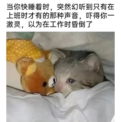 这张梗图上方是文字描述：'当你快睡着时，突然幻听到只有在上班时才有的那种声音，吓得你一激灵，以为在工作时昏倒了'。下方是一张照片，展示了一只蜜袋鼯躲在白色毯子下，旁边有一个黄色带白点的毛绒玩具。蜜袋鼯露出惊恐的表情，眼睛睁大，完美呼应了文字中描述的突然被惊醒的状态。图片通过可爱动物的惊恐表情与职场焦虑内容形成反差萌，幽默地表达了打工人对工作压力的心理阴影。