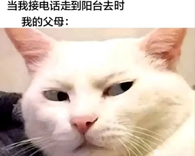 这张梗图展示了一只带有怀疑眼神的白色猫咪，上方配有文字：'当我接电话走到阳台去时 我的父母:'。图中的猫咪表情（侧视、眼神怀疑）幽默地表现了父母在看到孩子接电话去阳台时可能产生的怀疑态度，暗指父母觉得孩子可能在隐瞒什么，引发共鸣。